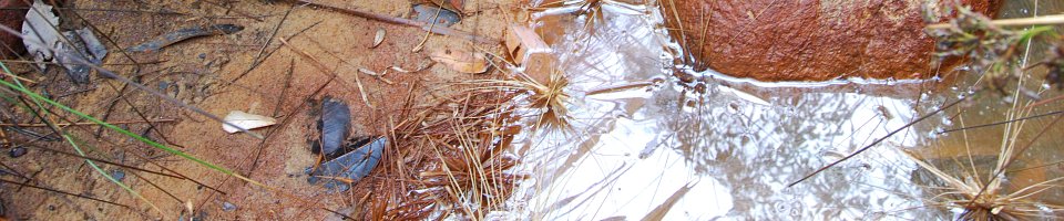 DSC_7860.jpg