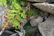 6212_wilderness-outback.jpg