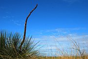 7103_wilderness-outback.jpg