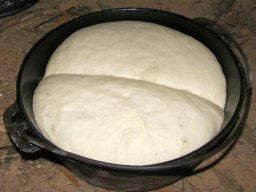 7032762-mumbula