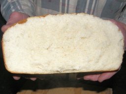 7032782-mumbula