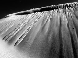 thurra-dunes-9327