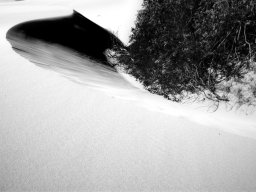 thurra-dunes-9336