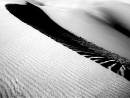 thurra-dunes-9429