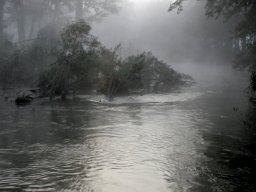 flooded-brogo-river